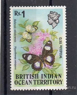 BRITISH INDIAN OCEAN TERRITORY  BIOT  Насекомые Бабочки № 55  1973 Сост**  MNH