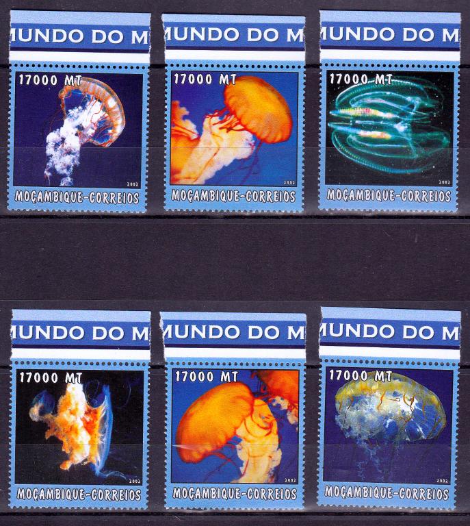 Марки Мозамбик 2002 г. Медузы Серия 6 марок  MNH ** Моллюски Фауна