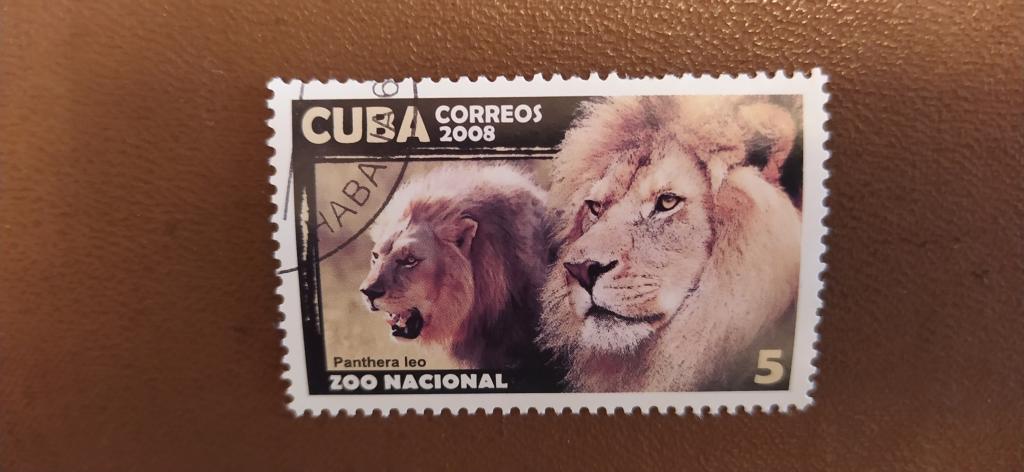 Марка Кубы, 2008, Львы