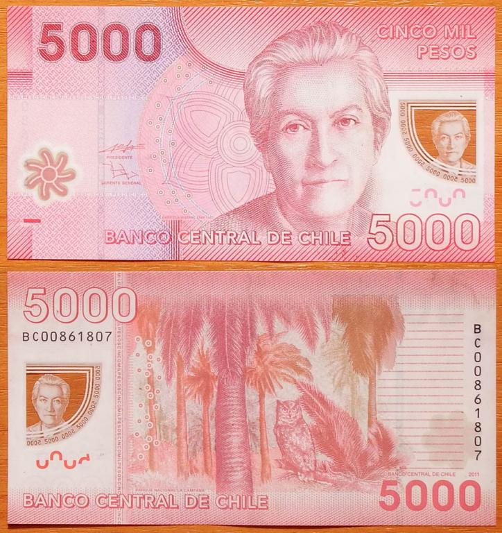 Чили 5000 песо 2011 VF P-163b