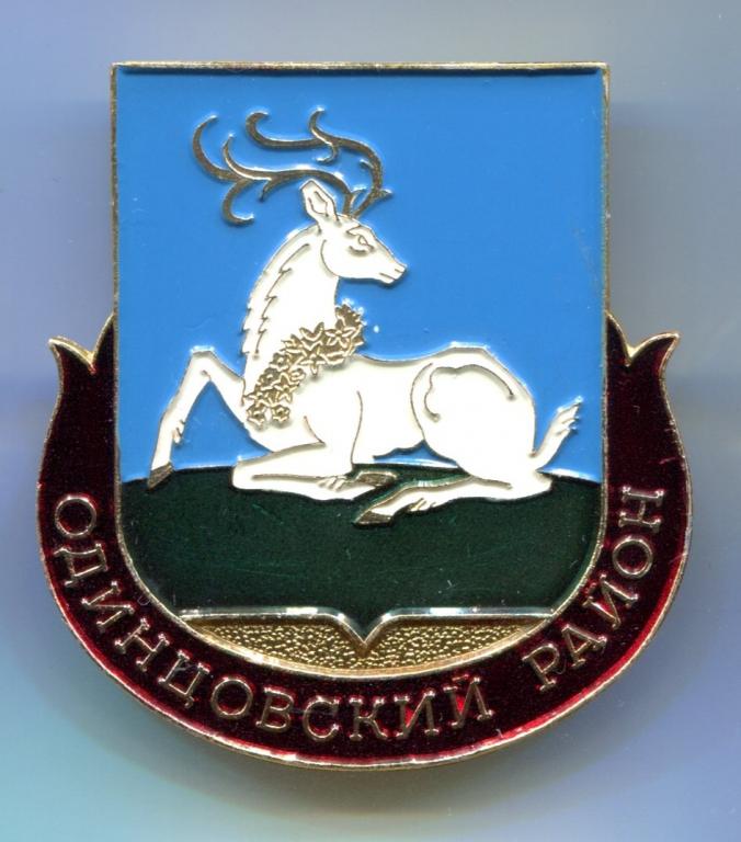 ОДИНЦОВСКИЙ РАЙОН. МОСКОВСКАЯ ОБЛАСТЬ. РОДНИК