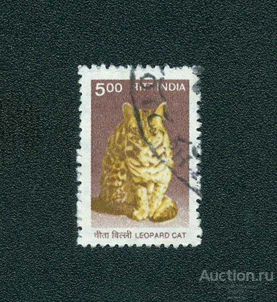 2000 г. Индия - Леопардовая кошка (0215е)