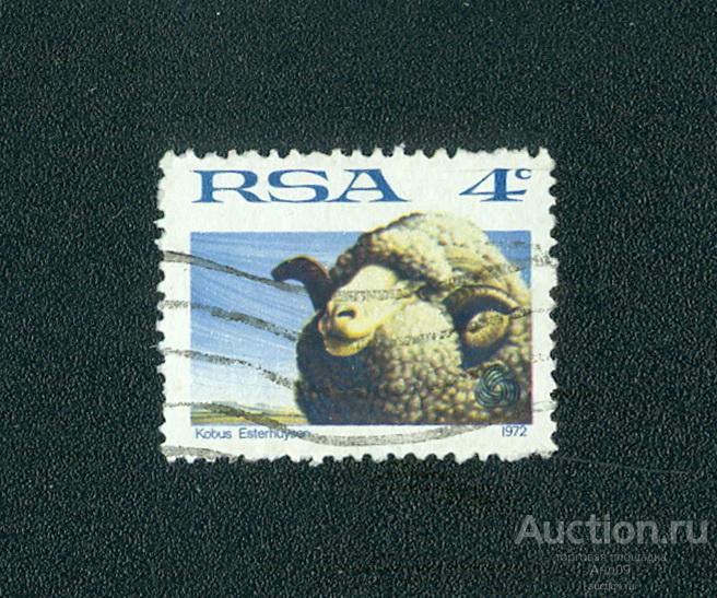 1973 г. ЮАР - Овцы-мериносы (0216е)