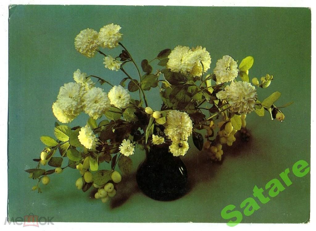 Букет - Савалов Е - 1985 год  (211-1)