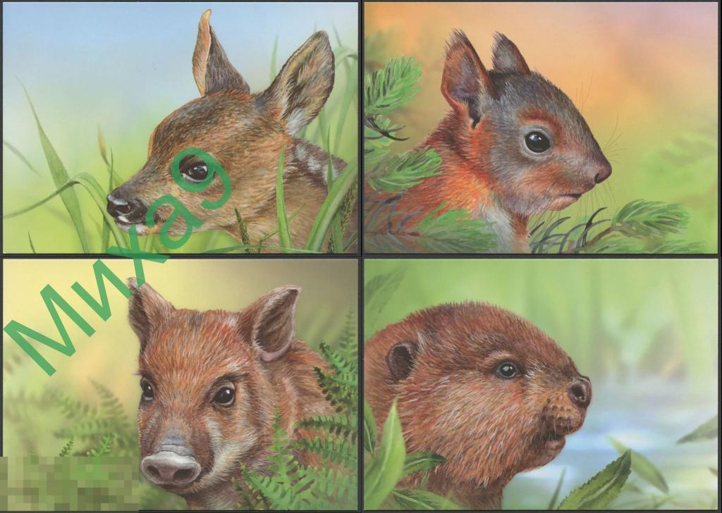 2020 ДПК Беларусь Зверята Фауна Олень Белка Бобр Кабан (4 шт.) 