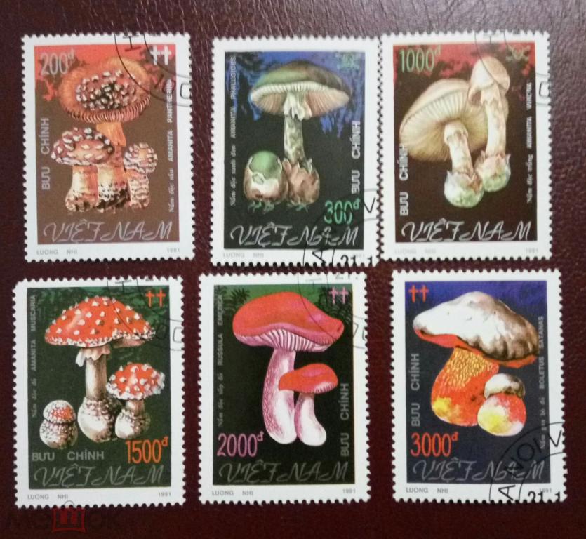 Вьетнам 1991 Mi# 2275-2280 Грибы