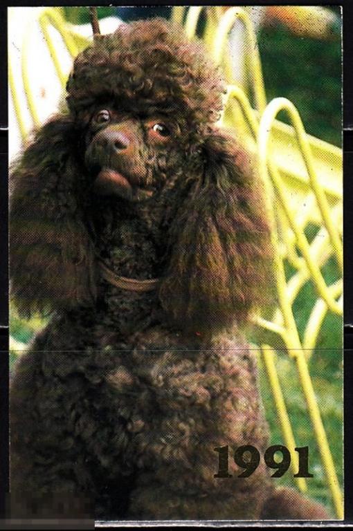 Календарик 1991 Фауна Собаки Пудель Тираж 1 700 000