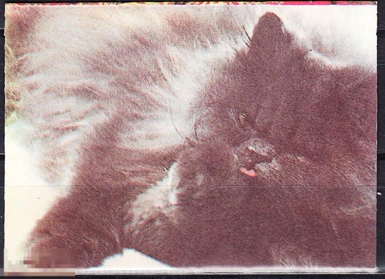 Календарик 1992 Кыргызстан Кошки Котенок Кыргызский национальный театр драмы 