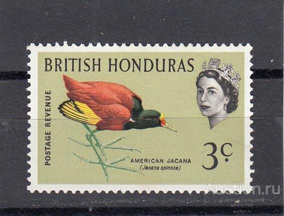 BRITISH HONDURAS  ГОНДУРАС  Фауна  Птицы  № 166 1962  Cост**  MNH