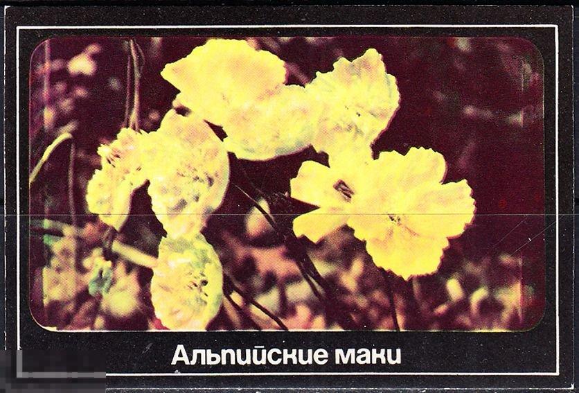 Календарик 1989 Альпийские маки Всероссийское общество охраны природы Московский совет Тираж 120 000 