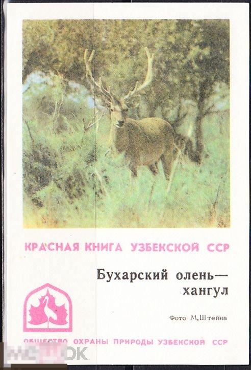Календарик 1982 Красная Книга Узбекской ССР Фауна Бухарский олень ...