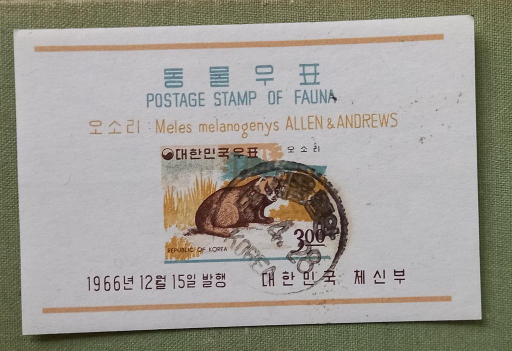 Южная Корея 1966 год Фауна Азиатский барсук Блок Гаш
