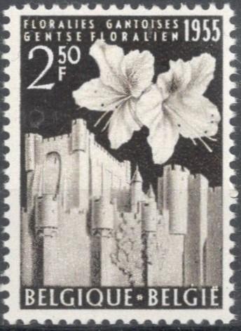 Бельгия, 1955, № 1011, € 7,5 ,MNH, выставка цветов в Генте