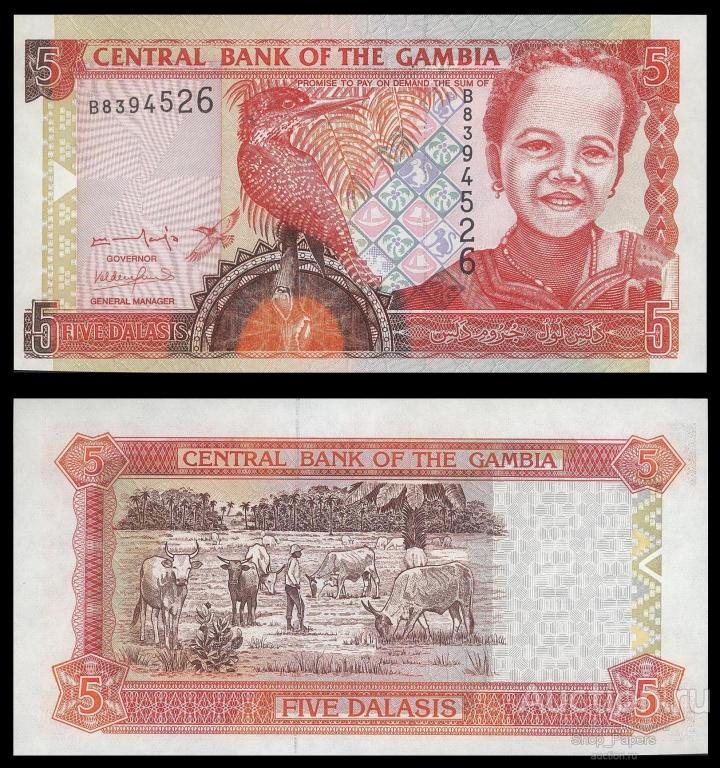 ГАМБИЯ 5 даласи 2001 Pick 20a UNC Signature 13