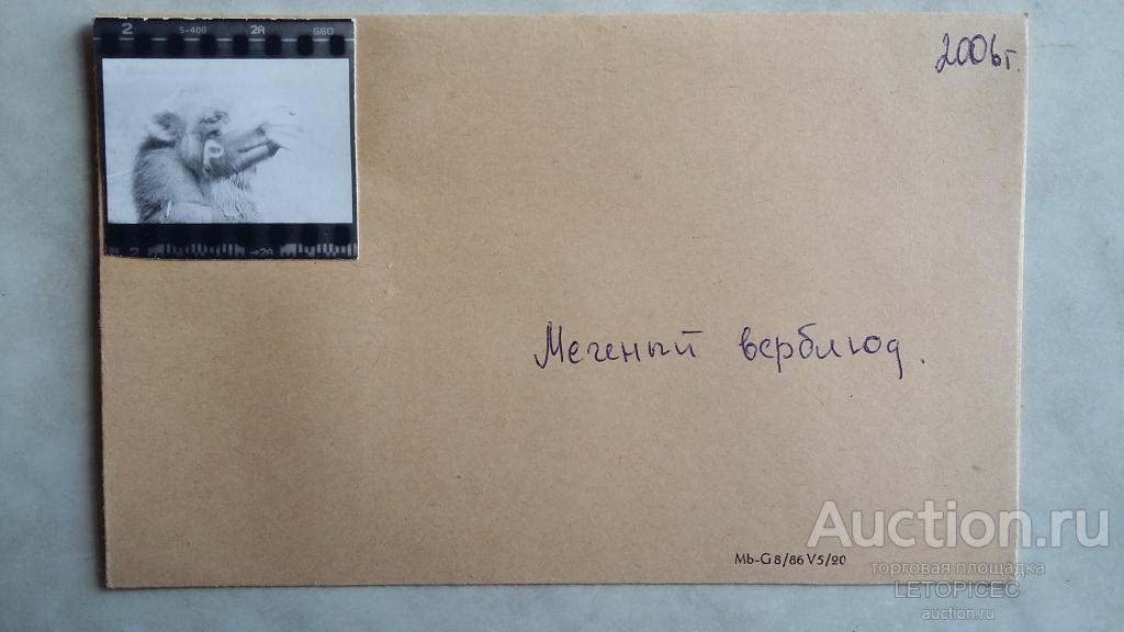 1цветн. негатив 24х36мм.- Астрахань. Меченый верблюд. 2006г