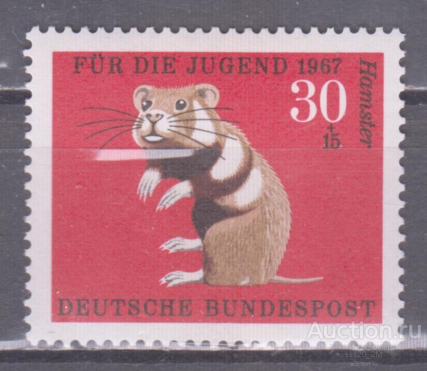 ФРГ 1967 хомяк Mi531 MNH