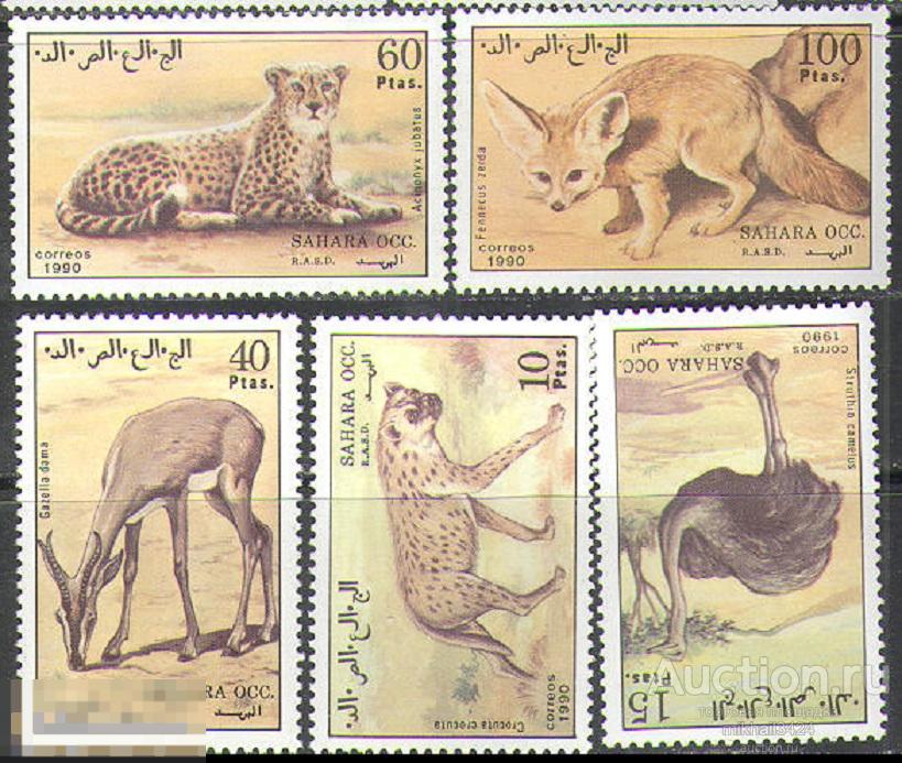 2578 ✅ Фауна Животные Птицы Кошки 1990 Сахара Фронт Полисарио 5м п/с **