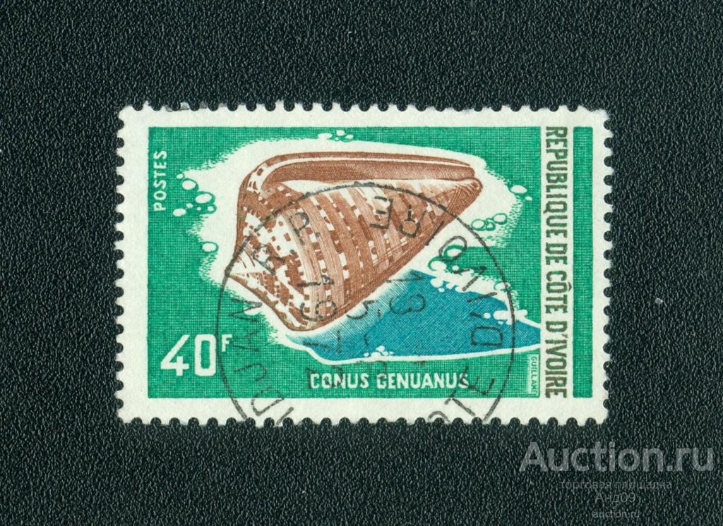 1971 г. Кот д'Ивуар (Берег Слоновой Кости) - Морская улитка (0745е)