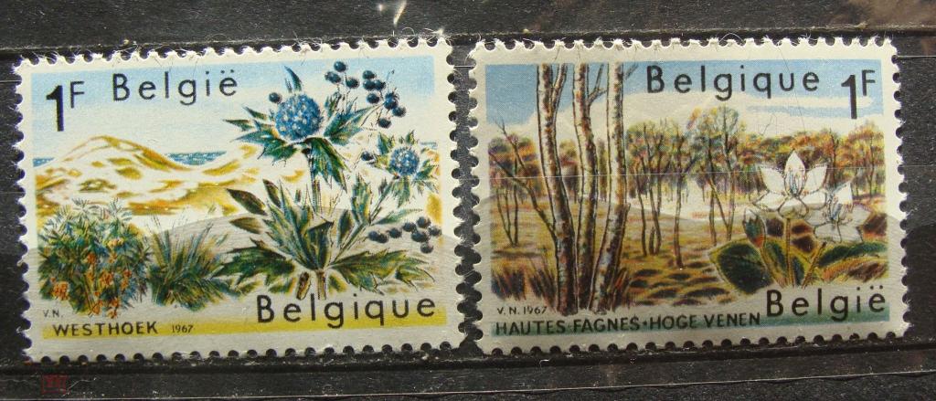 Цветы. Охрана природы. Бельгия 1967г. **