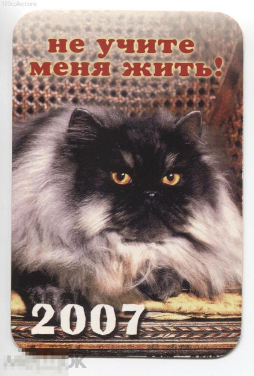 ru2007 Кошка. Не учите меня жить! 9-0986 R&amp;S 
