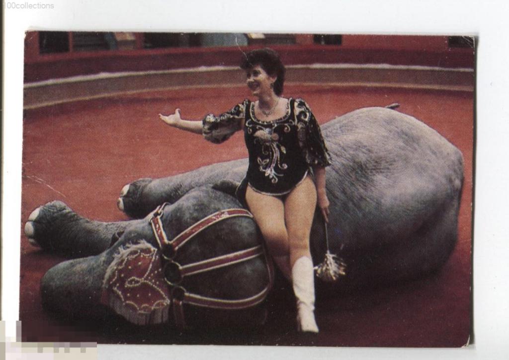 su1987 Цирк. Засл. арт. РСФСР Татьяна Филатова. Дрессировщица сидит на лежащем слоне