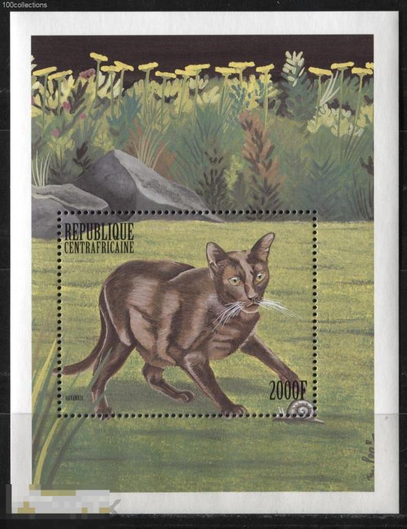 cf1999_b629 ЦАР. Фауна Кошки** 8.5 евро(2013) 