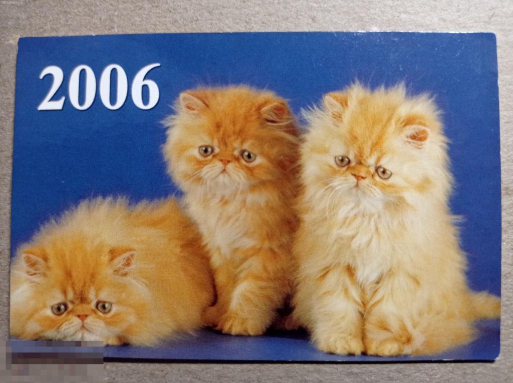 ru2006 Три рыжих котенка. (c)  ПСВ. Тула 