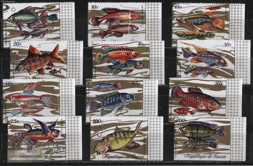 gn1971_571A-82A Гвинея. Рыбы. Полная серия ** КЦ=20 евро 