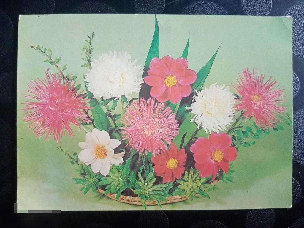 1983 ДМПК Круцко Композиция из цветов 