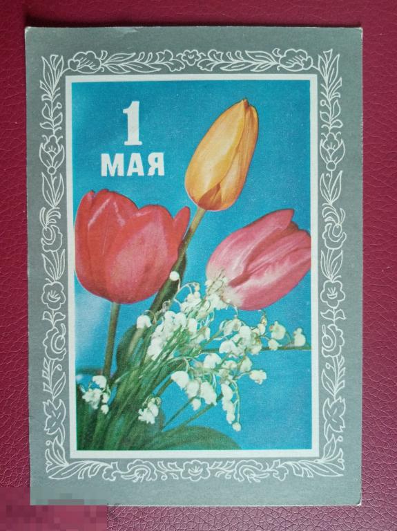 1975 ДМПК Пармеев 1 мая 