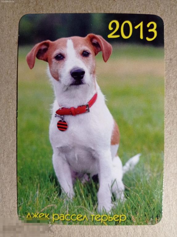 ru2013 Собака. Джек Рассел терьер. 9-1963 ООО "Цветной мир" 