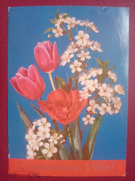 1986 ДМПК Дергилев С праздником 1 мая 