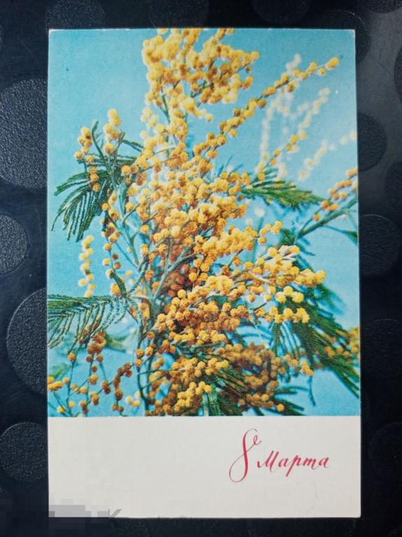 1969 год Шворак 8 марта 