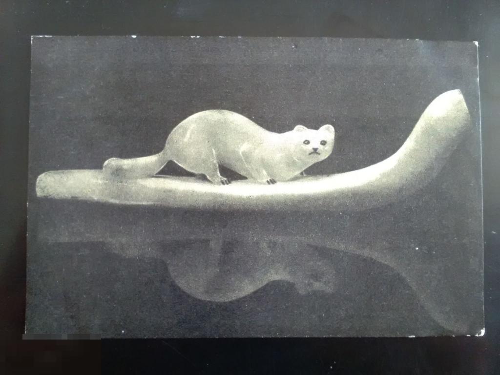 Соболь Мамонтовая кость Евангулов 1953 год 