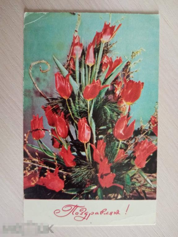 1969 год Поздравляю Круцко Папикьян 