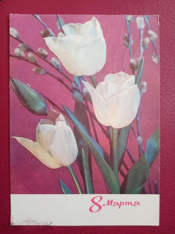 1970 ДМПК Дергилев 8 марта 