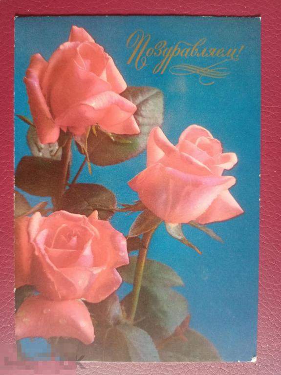 1976 ДМПК АВИА Костенко Комлев Поздравляем 