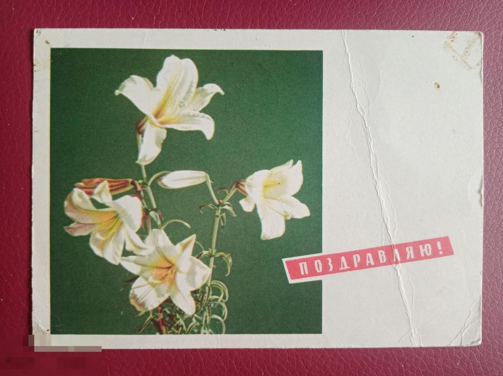 1965 ДМПК Смоляков Дергилев Поздравляю 