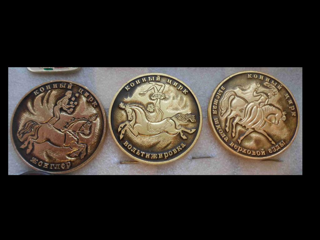 Значки. Детские. Цирк. Серия11. Цена за один любой значок