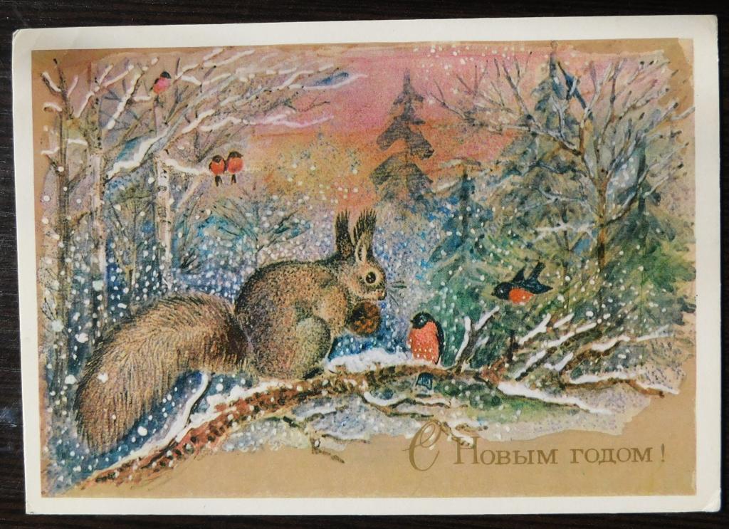 Белочка. Худ. Л.Манилова  1981