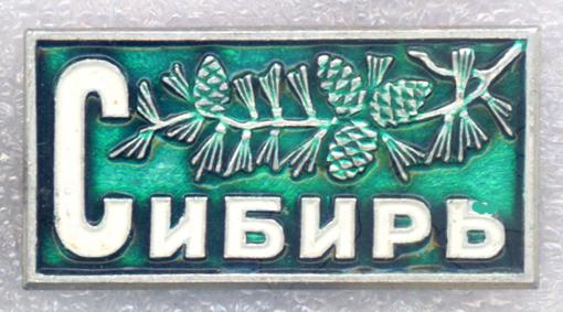 Сибирь * Кедровая ветка с шишками