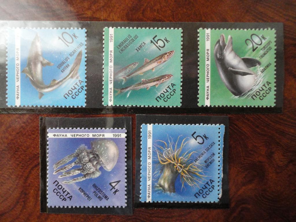 СССР 1991г. "ФАУНА ЧЁРНОГО МОРЯ" СОСТОЯНИЕ **