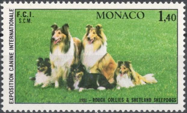 Монако, 1981, № 1480, € 5, MNH, полн., Международная выставка собак, Колли и шетландские овчарки