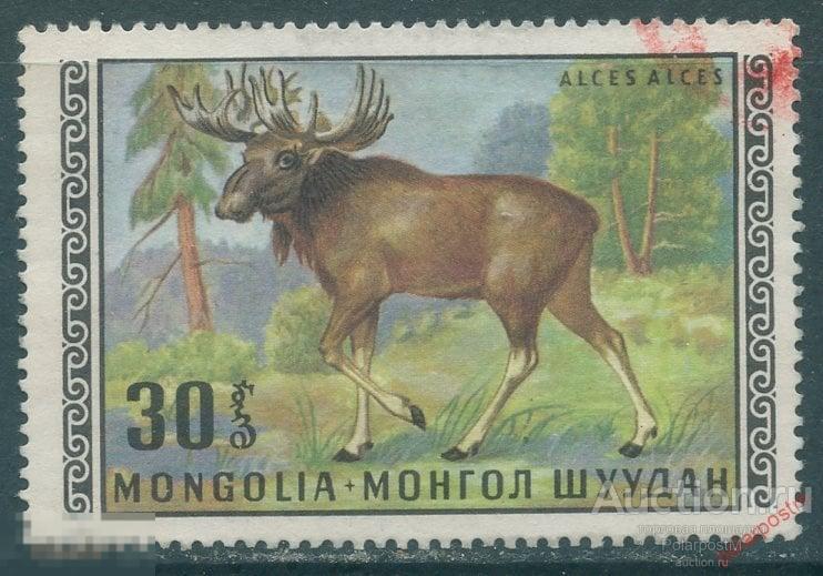 L55 МОНГОЛИЯ 1970 582 Дикие животные 