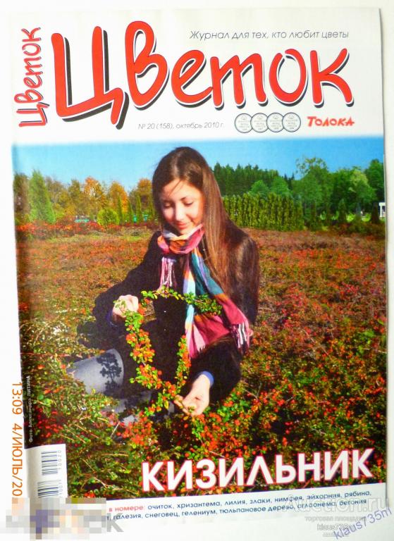 Журнал &quot; Цветок&quot;  Толока № 20 (158) октябрь 2010г. Кизильник. 