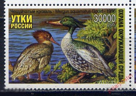 РОССИЯ 1996. УТКИ РОССИИ. ВСЕРОССИЙСКОЕ ОБЩЕСТВО ОХРАНЫ ПРИРОДЫ. ОХРАНА ВОДОПЛАВАЮЩИХ ПТИЦ 