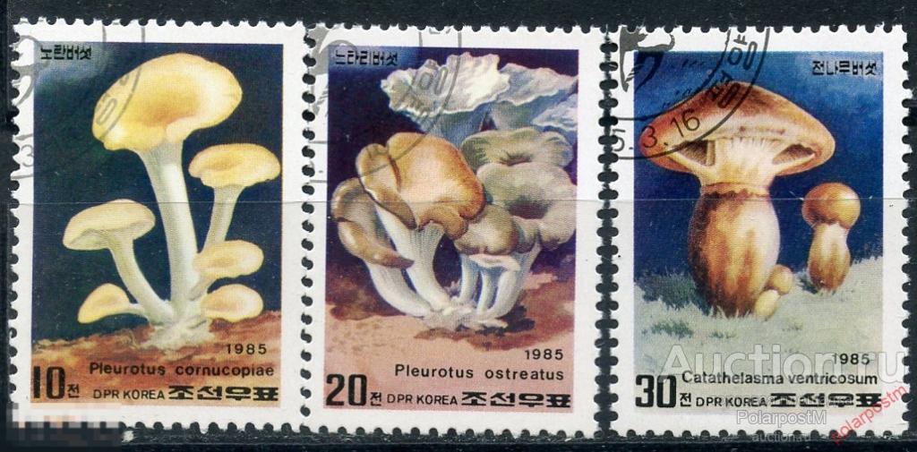 L55 КНДР (СЕВЕРНАЯ КОРЕЯ) 1985 2640-2642 грибы. Флора. Растения 