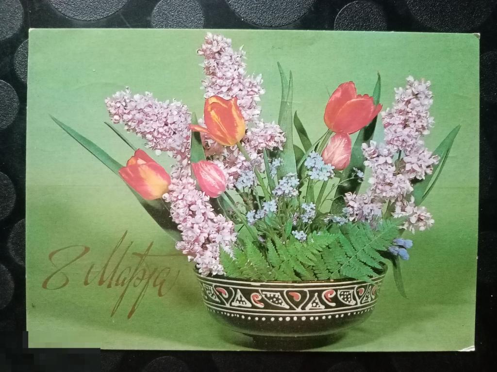 1981 ДМПК АВИА Круцко 8 марта 