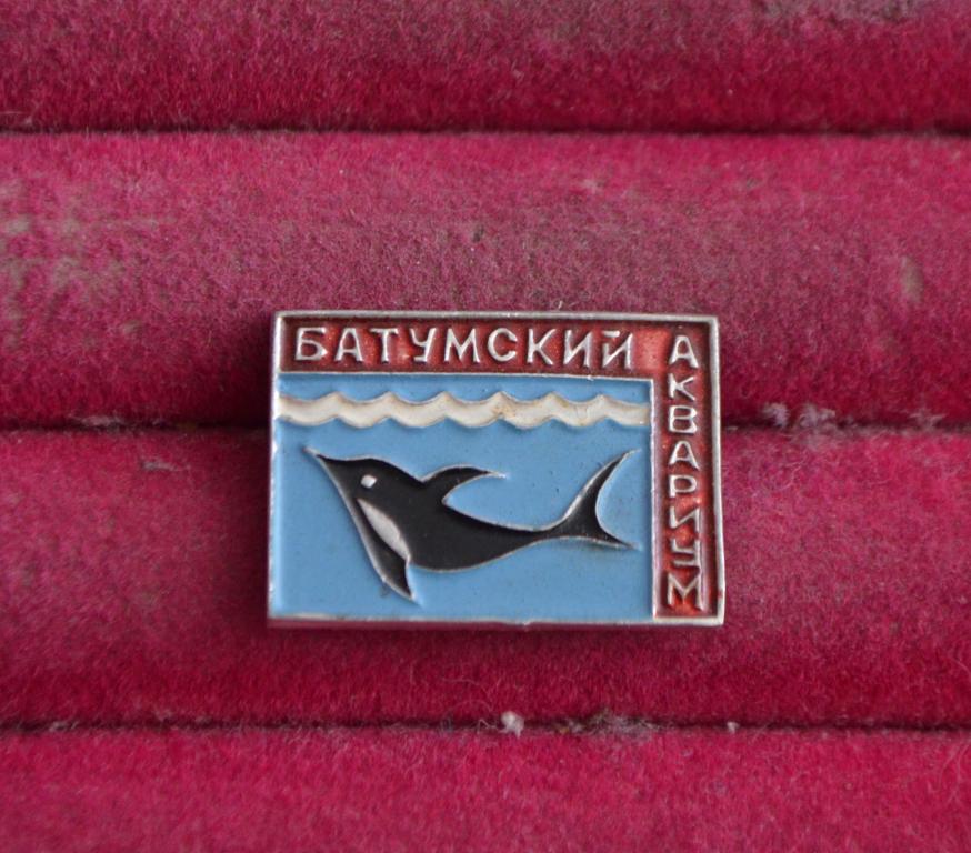 БАТУМСКИЙ АКВАРИУМ ДЕЛЬФИН МОРЕ  БАТУМИ ГРУЗИЯ   ЛИСТ  № 97