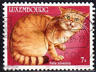 1985 Люксембург Фауна Звери Кошки Дикий кот № 1134 гаш 0.50 евро 